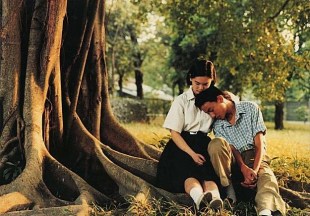 A Brighter Summer Day