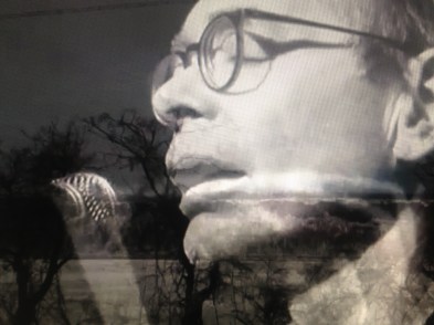 sutis-interferencias