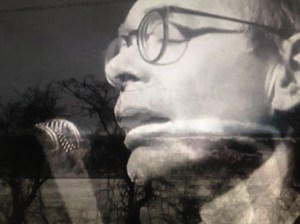 sutis-interferencias